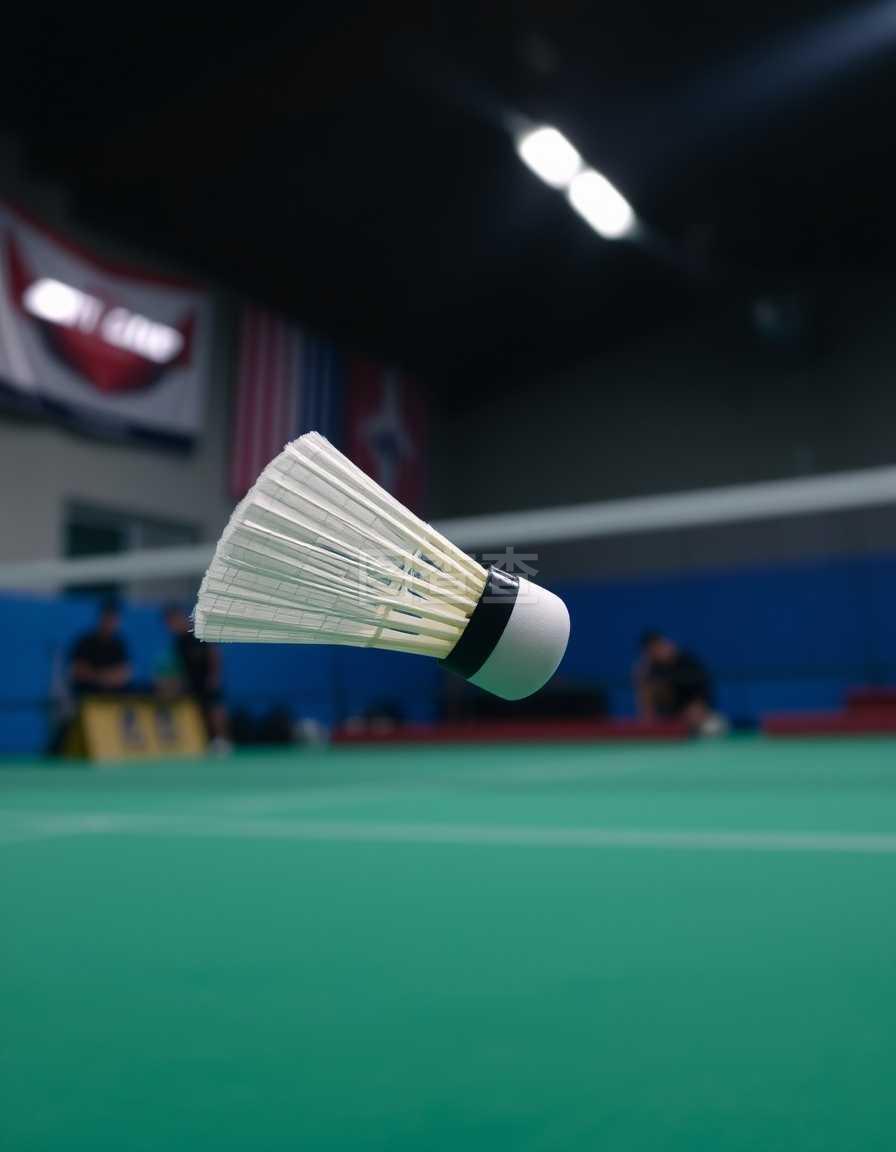 借其出色的 借其出色的